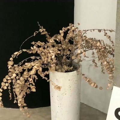 汪清FurryQQ群介绍